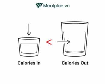 Chìa khóa cho 4 Chế độ ăn giảm cân tốt nhất ở trên