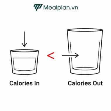 Thực đơn 1300 calo mỗi ngày thuận việt